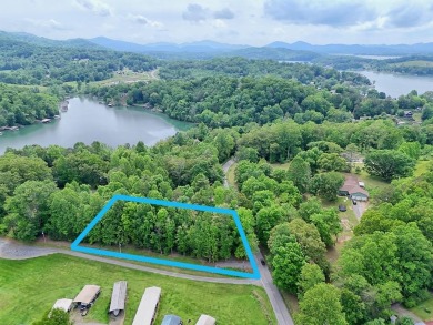 Lake Lot For Sale in Hayesville, North Carolina