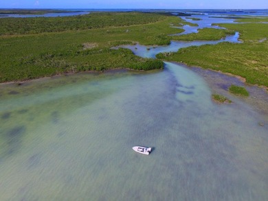 Offshore island 4 acre lot in the heart of the Great White Heron - photo 1