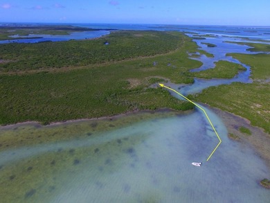 Offshore island 4 acre lot in the heart of the Great White Heron - photo 3