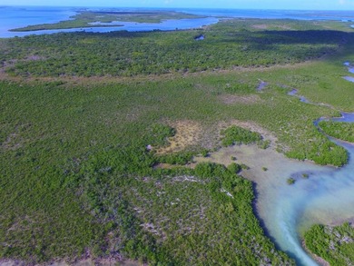 Offshore island 4 acre lot in the heart of the Great White Heron - photo 4