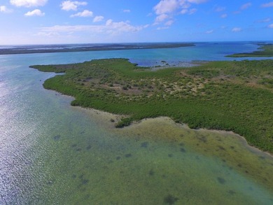Offshore island 4 acre lot in the heart of the Great White Heron - photo 6