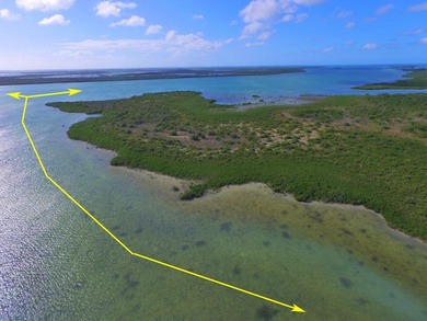 Offshore island 4 acre lot in the heart of the Great White Heron - photo 7