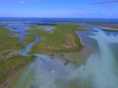 Offshore island 4 acre lot in the heart of the Great White Heron - photo 8