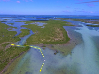 Offshore island 4 acre lot in the heart of the Great White Heron - photo 9