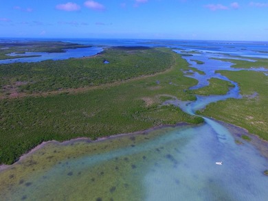 Offshore island 4 acre lot in the heart of the Great White Heron - photo 10