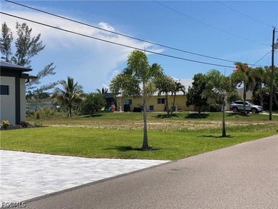 Located in the heart of Cape Coral, this waterfront lot is - photo 3