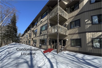 (pending lake) Condo For Sale in Minocqua Wisconsin