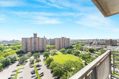 Step into this beautiful one-bedroom in a high rise building - photo 10