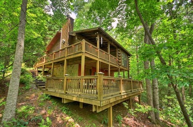 Cherry Log Lake Home For Sale in Blue Ridge Georgia