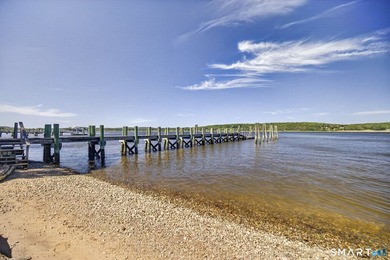 Riverside Elegance Meets Neoclassical Grandeur: Experience the - photo 35