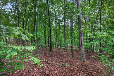 Lake Balboa Lot For Sale in Hot Springs Village Arkansas
