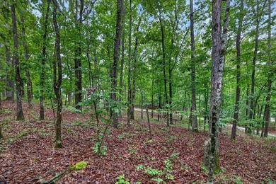 Additional listing photo 1