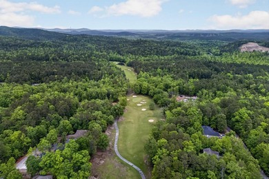 Rare opportunity to build your dream home on this beautiful .33 - photo 6