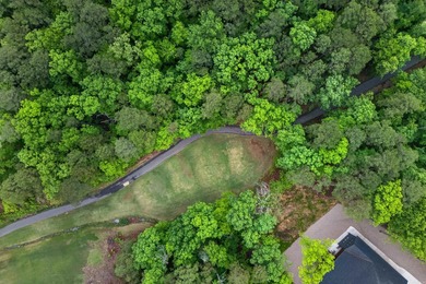 Rare opportunity to build your dream home on this beautiful .33 - photo 8
