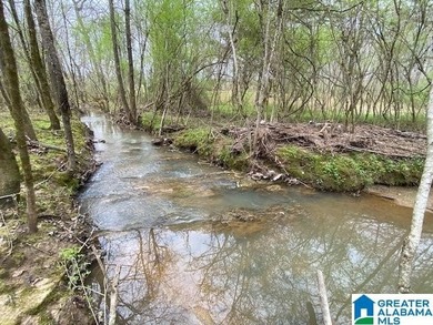 (private lake, pond, creek) Acreage For Sale in Pell City Alabama