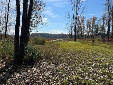 Wabasis Lake Acreage For Sale in Greenville Michigan