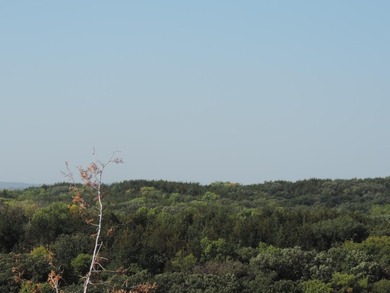 This wooded lot is located in the Lewis and Clark lake area with - photo 2
