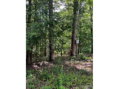 Cave Run Lake Lot For Sale in Wellington Kentucky
