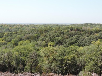 Located in the Lewis and Clark lake area , this 1.98 +/- acre - photo 2