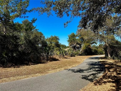 BUY TODAY BUILD TOMORROW! vacant 80x125 lot available in the - photo 4
