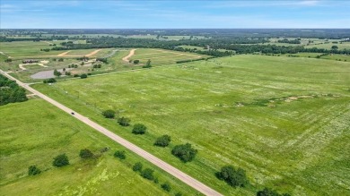 Stunning 123+ Acre Estate with Lake and Development Potential! - photo 4
