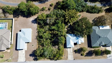 BUY TODAY BUILD TOMORROW! vacant 80x125 lot available in the - photo 5