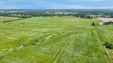 Stunning 123+ Acre Estate with Lake and Development Potential! - photo 6