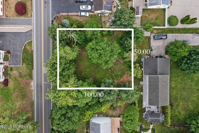 Build your dream home on this 50x100 vacant lot located in the - photo 1