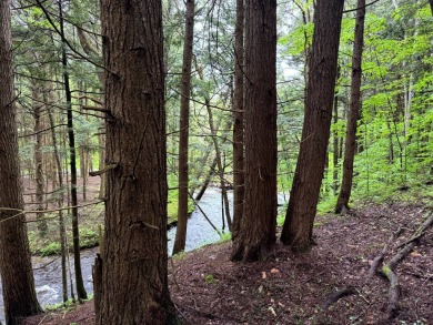 (private lake, pond, creek) Acreage For Sale in German New York