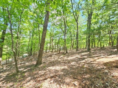 Lake Lot For Sale in Jasper, Georgia