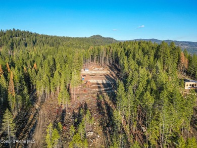 Rare 5-acre build-ready lot with unobstructed views of the Pend - photo 11