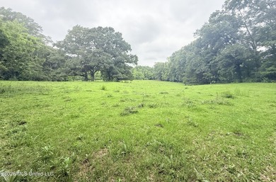 This attractive 12.22 +/- acre parcel offers excellent potential - photo 11