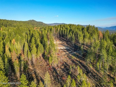 Rare 5-acre build-ready lot with unobstructed views of the Pend - photo 12