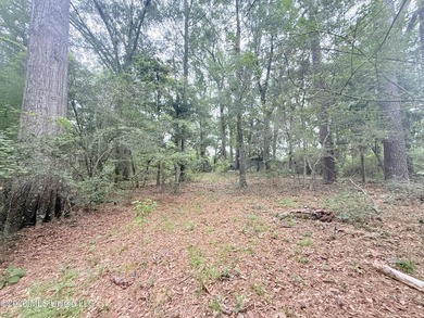 This attractive 12.22 +/- acre parcel offers excellent potential - photo 12