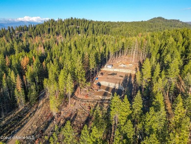 Rare 5-acre build-ready lot with unobstructed views of the Pend - photo 13