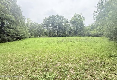 This attractive 12.22 +/- acre parcel offers excellent potential - photo 13