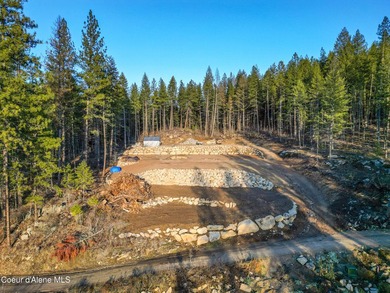Rare 5-acre build-ready lot with unobstructed views of the Pend - photo 15