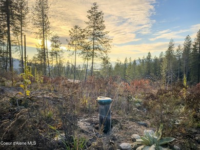 Rare 5-acre build-ready lot with unobstructed views of the Pend - photo 18