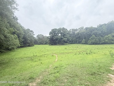 This attractive 12.22 +/- acre parcel offers excellent potential - photo 18