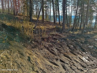Rare 5-acre build-ready lot with unobstructed views of the Pend - photo 19