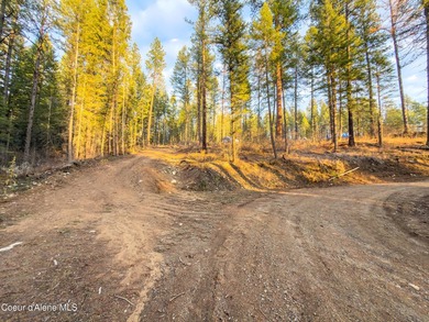 Rare 5-acre build-ready lot with unobstructed views of the Pend - photo 20