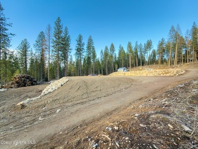 Rare 5-acre build-ready lot with unobstructed views of the Pend - photo 21