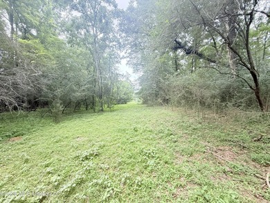 This attractive 12.22 +/- acre parcel offers excellent potential - photo 21
