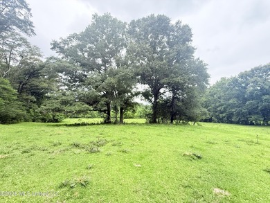 This attractive 12.22 +/- acre parcel offers excellent potential - photo 22