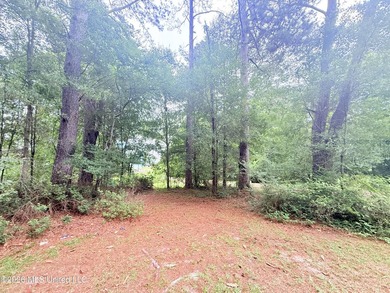 This attractive 12.22 +/- acre parcel offers excellent potential - photo 23