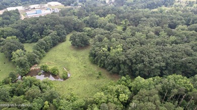 This attractive 12.22 +/- acre parcel offers excellent potential - photo 25