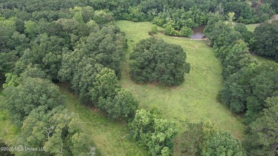 This attractive 12.22 +/- acre parcel offers excellent potential - photo 26