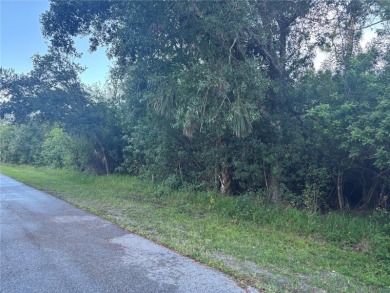 Port Charlotte Waterway Lakes Area Lot For Sale in Port Charlotte Florida