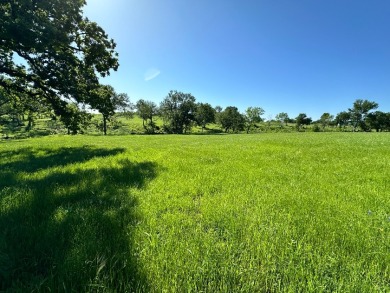 Texas Waterfront Views with Country Vibes. Build a Boathouse! - photo 24