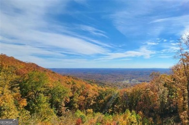 Lake Laceola Acreage For Sale in Cleveland Georgia